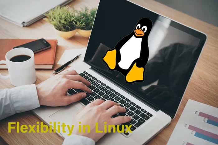 Linux is one of the most flexible environments to work with specially for us technical people. Once you get the grasp of linux you can find the real essence of coding and programming itself. /the-flexibility-of-linux-unleashing-the-power-of-customization/featured.jpg